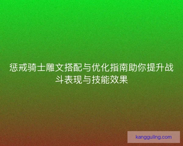 惩戒骑士雕文搭配与优化指南助你提升战斗表现与技能效果