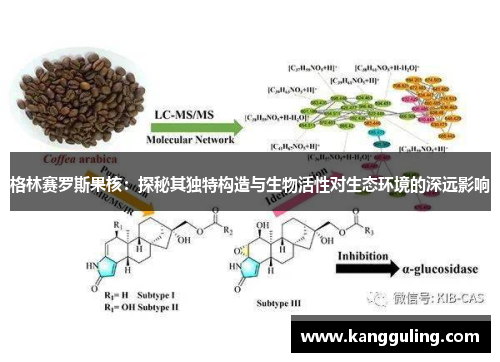 格林赛罗斯果核：探秘其独特构造与生物活性对生态环境的深远影响